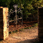 Scarby Rose Garden Gate...