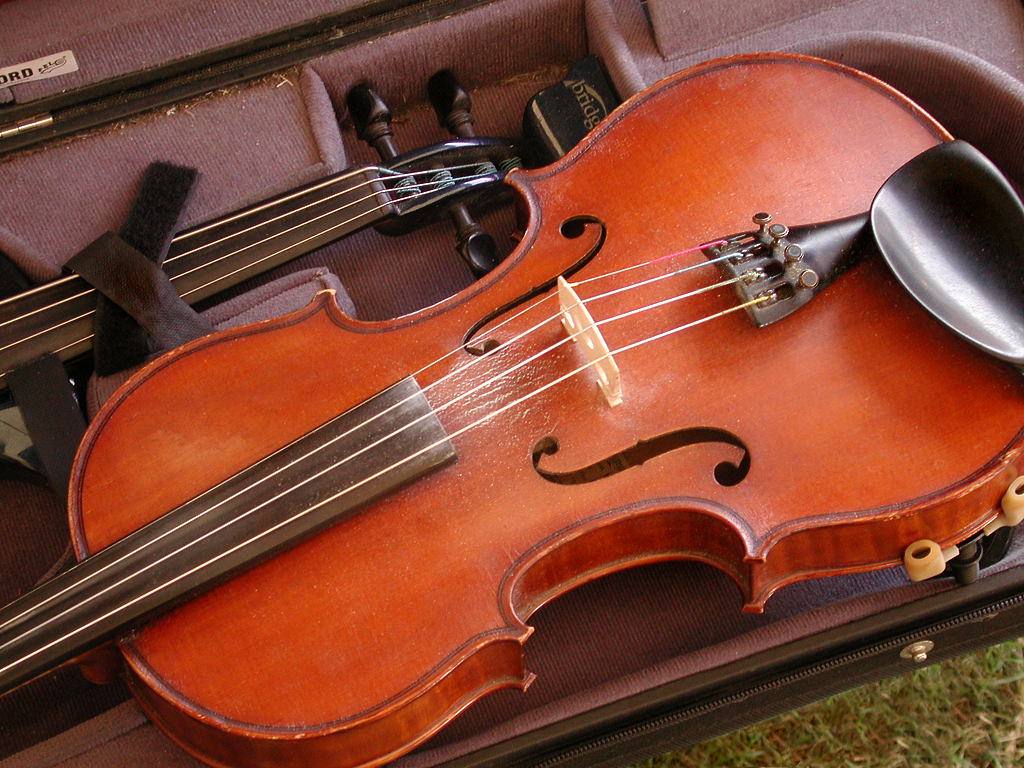 Violin Awaiting Operator...