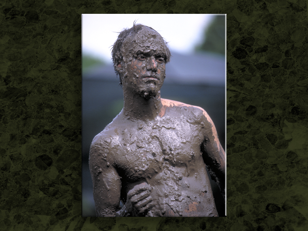 Ancient Mud Pic...