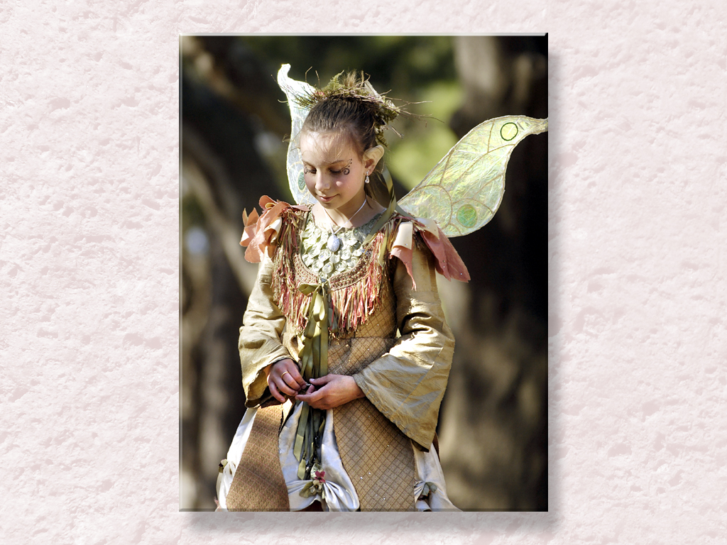 Lovely Faerie...