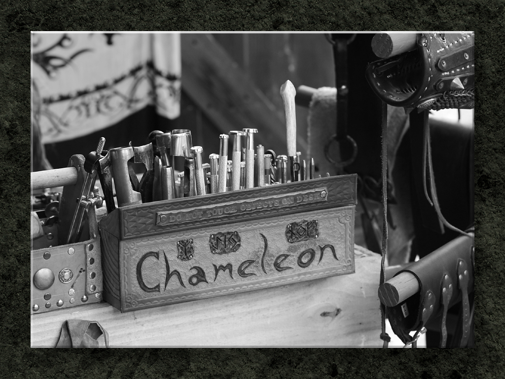 Chameleon's Tools Of the Trade...