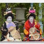 Geisha at TRF...