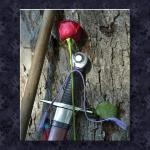 Hilt, Rose, and Staff...