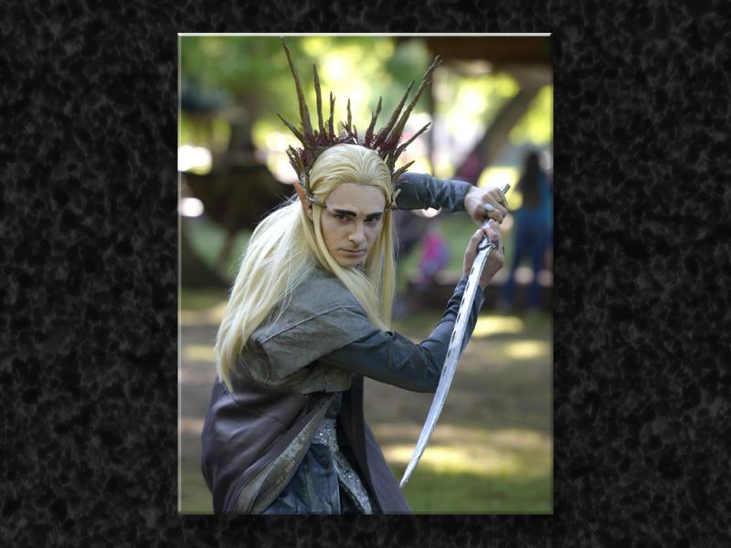 Elven Warrior Pose...