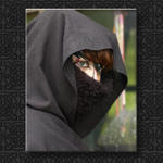 Cloaked Katt...