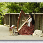 Harpist At Sunset...