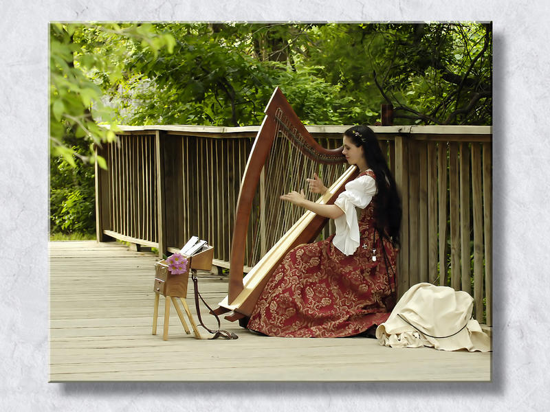 Harpist At Sunset...