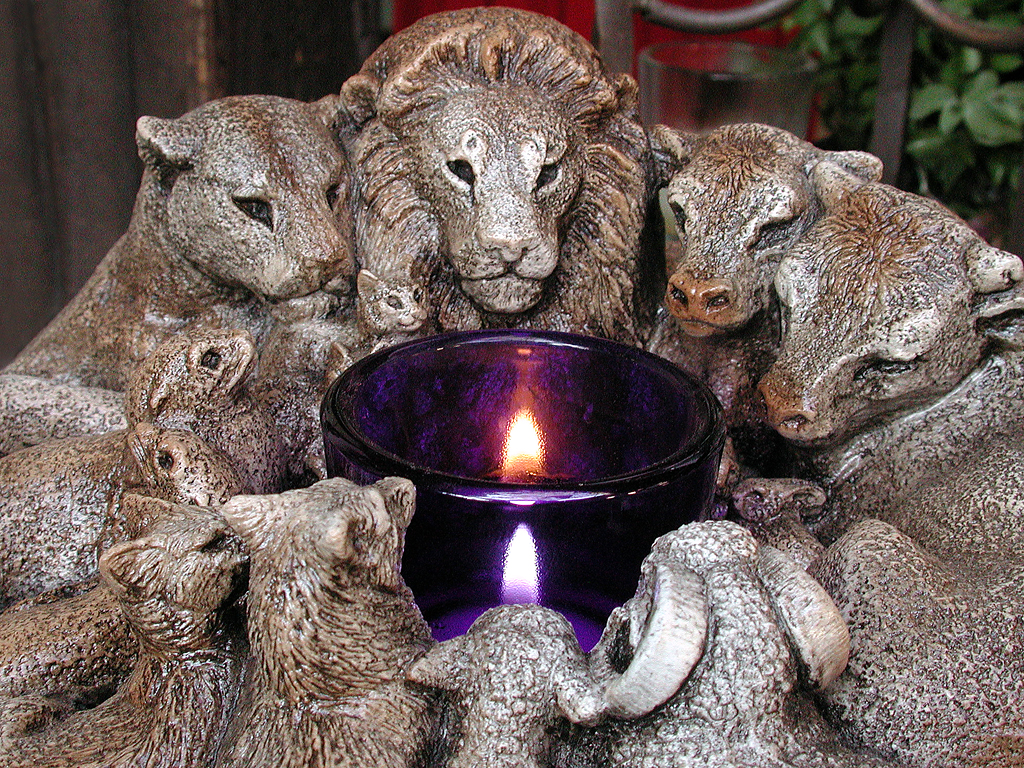 Watchers of the Candle...