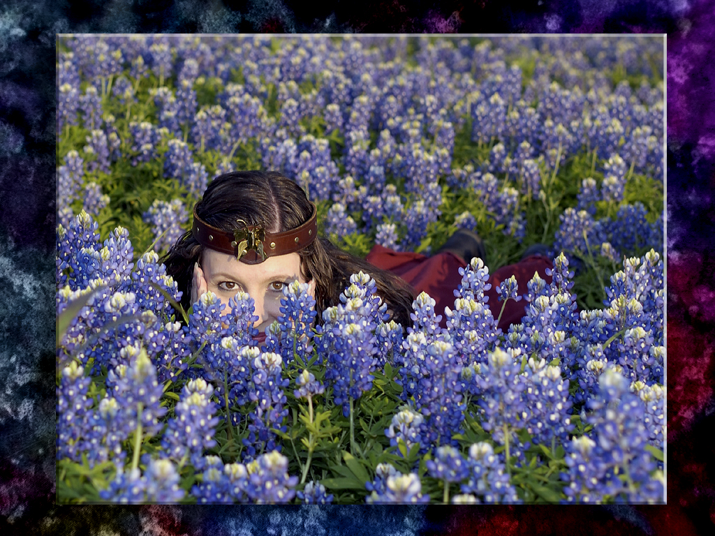 Peek-a-Bloo In The Bluebonnets...