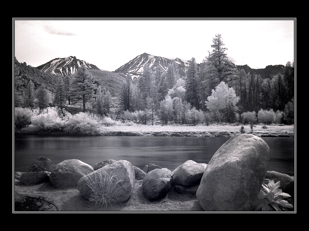 Mt Dana in IR...