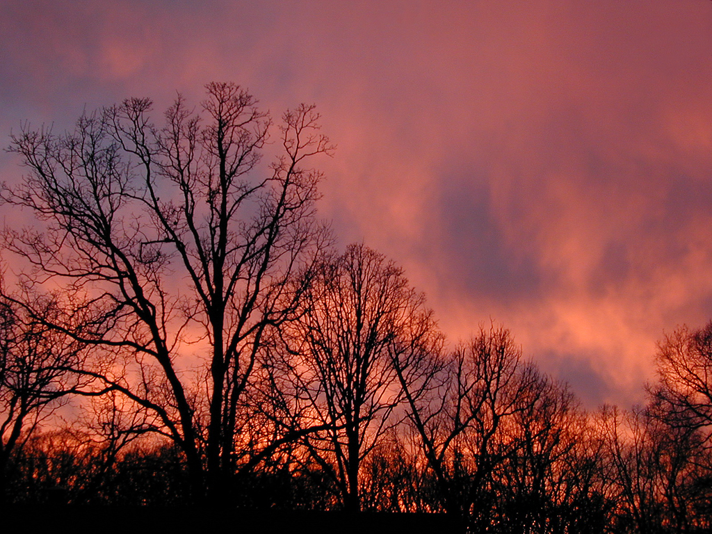 Sunset In Illinois...