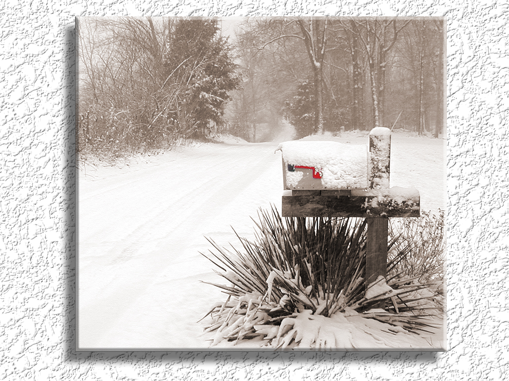 Mail Box In the Snow...