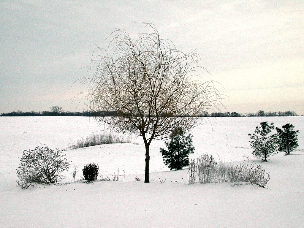 Sis's Home In the Snow...