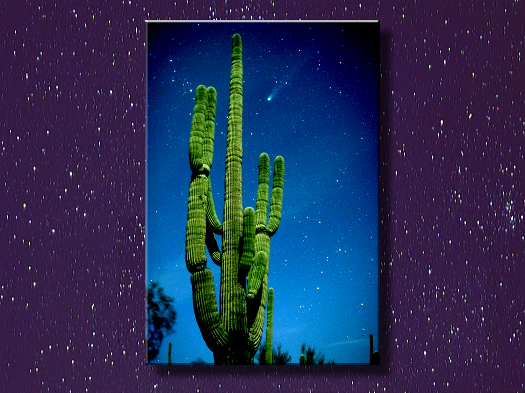 Cactus and Comet in Saguaro NP...