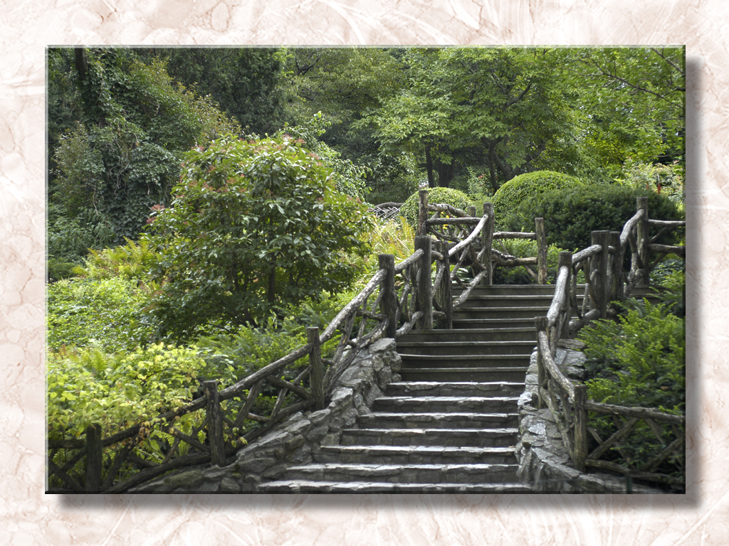 Stairs In Central Park...