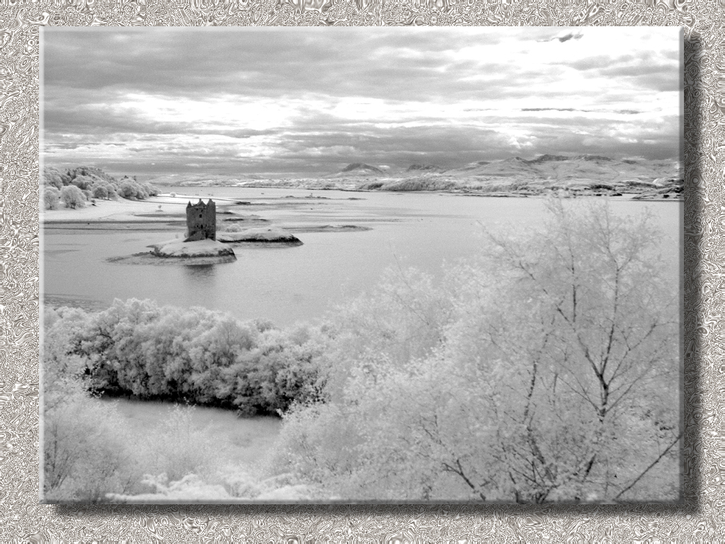 Castle Stalker In IR #1...