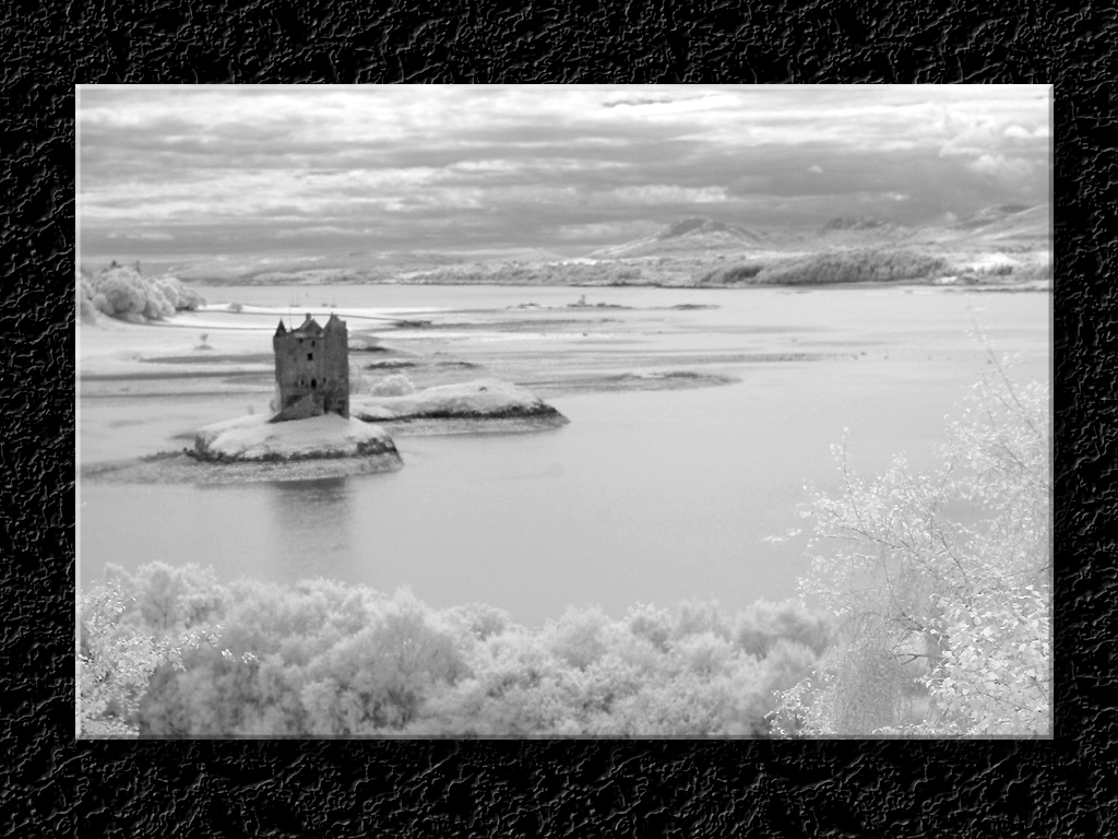 Castle Stalker In IR #2...