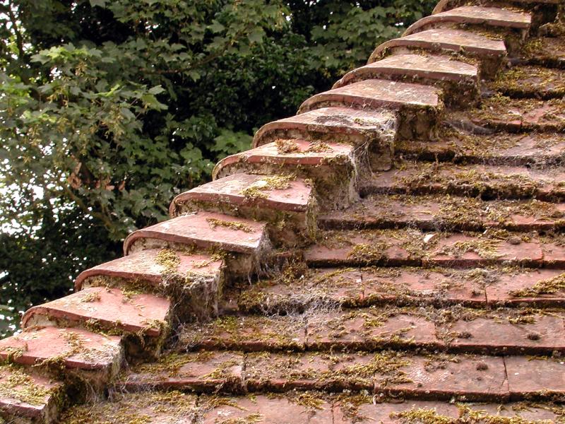 Roof and Moss...