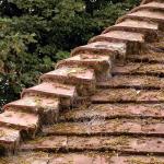 Roof and Moss...