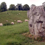 Avebury Stone Circle #1...