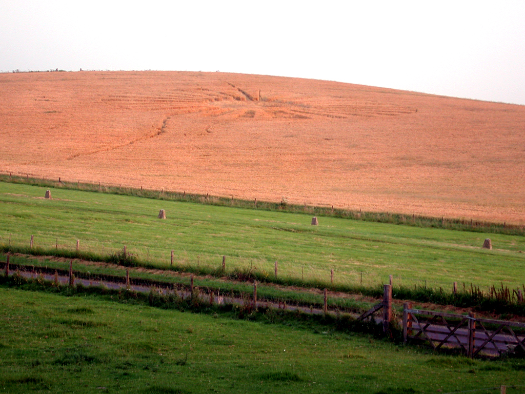 Avebury Crop Circle...