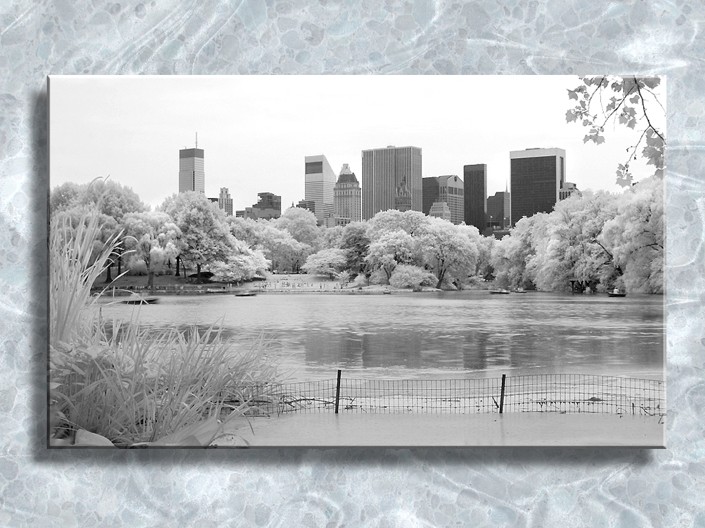 Lake In Central Park...