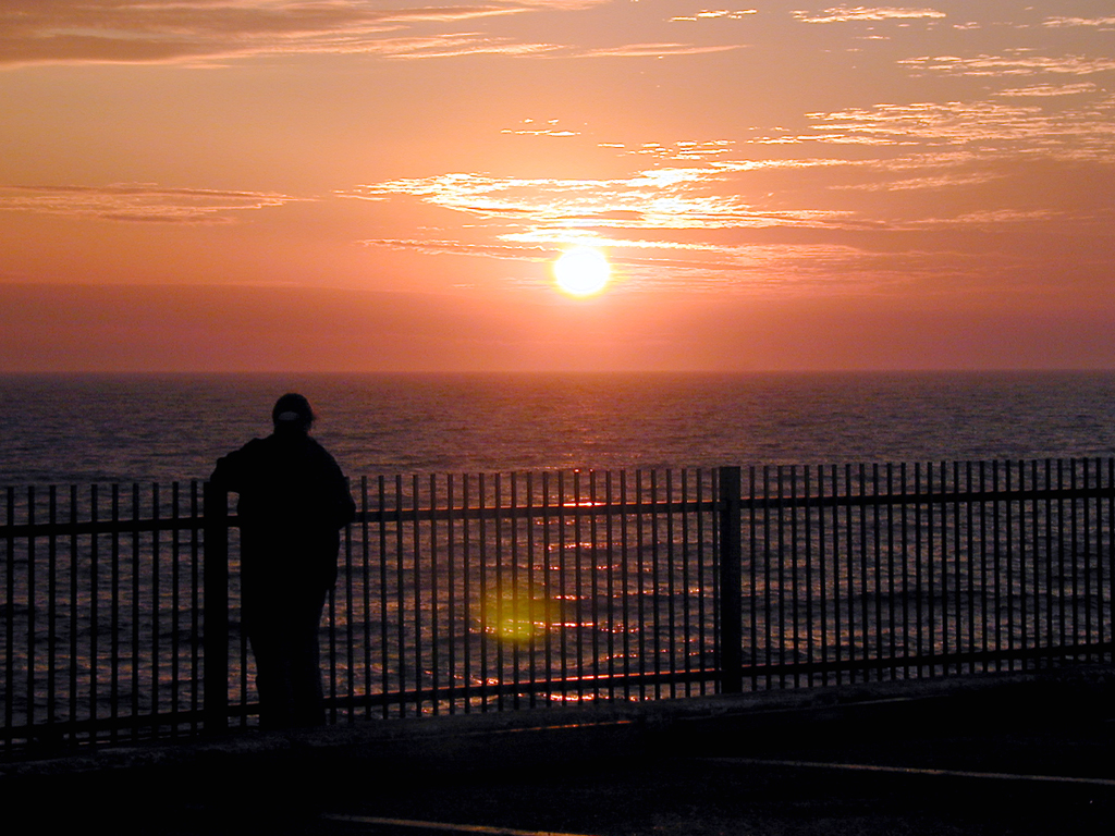 Sweetie at Sunrise...