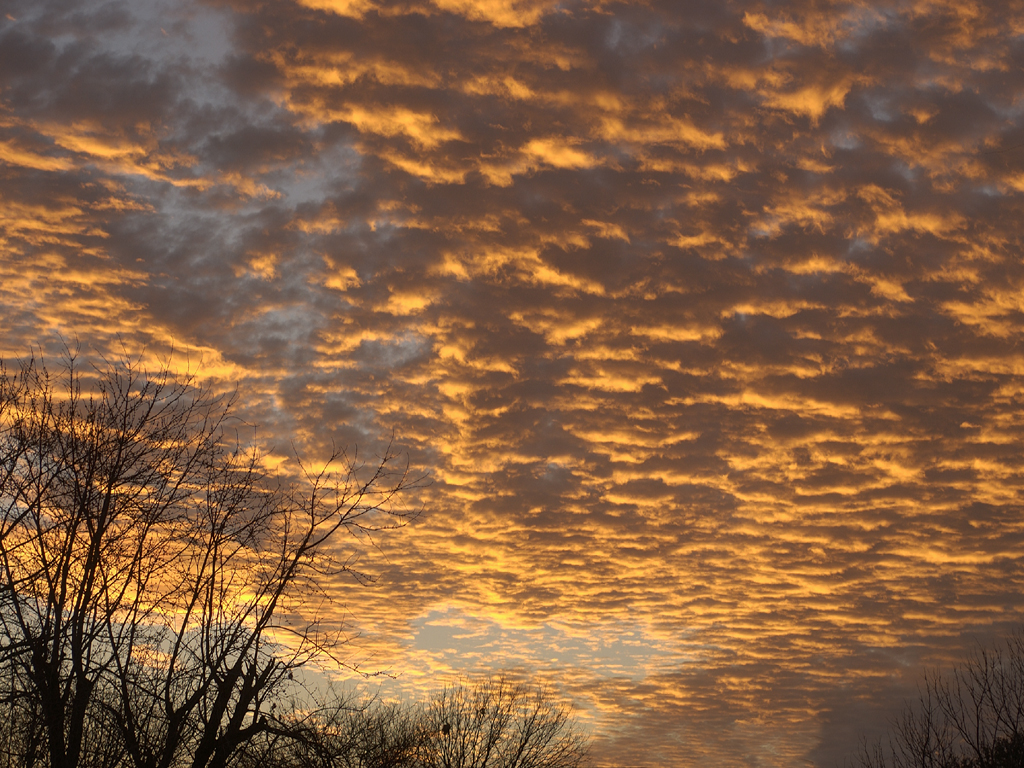 Sunset In Southern Illinois...