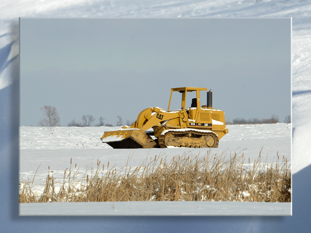 Snow Cat...