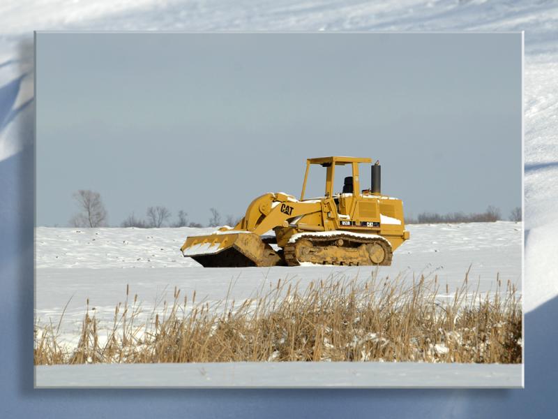 Snow Cat...