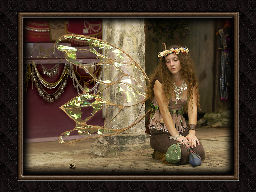 Faerie the Contemplative...