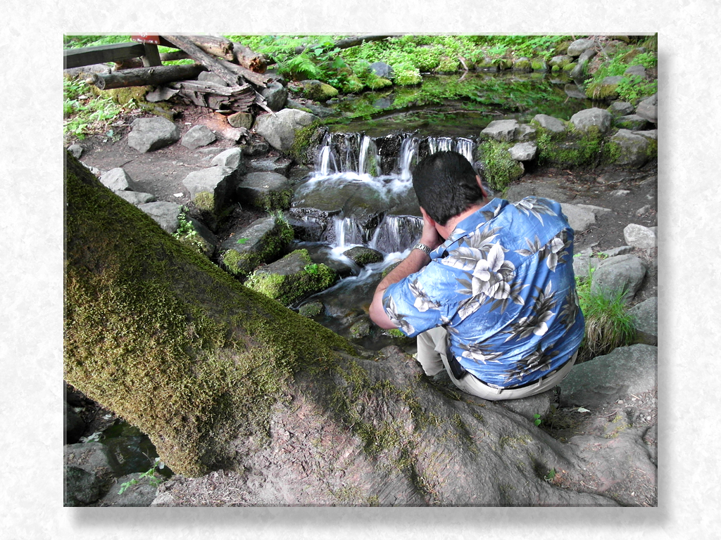 First Fascination at Yosemite...