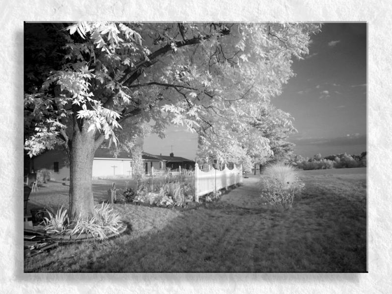 Backyard IR at Sunset...