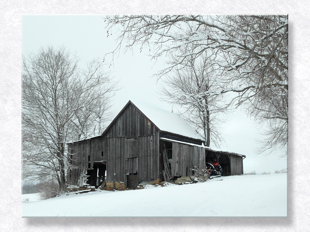 Chilly Wind Blown Barn...