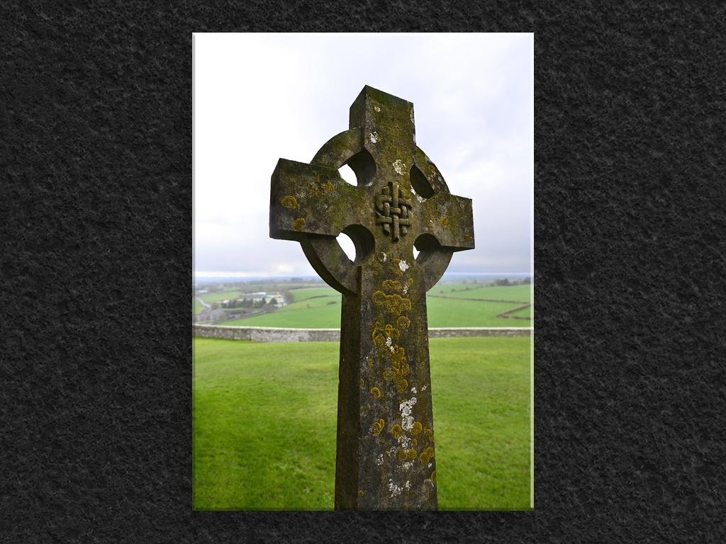 Lichen and Stone...