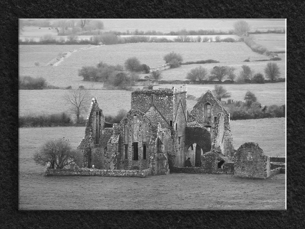 Hore Abbey from the Rock of Cashel...