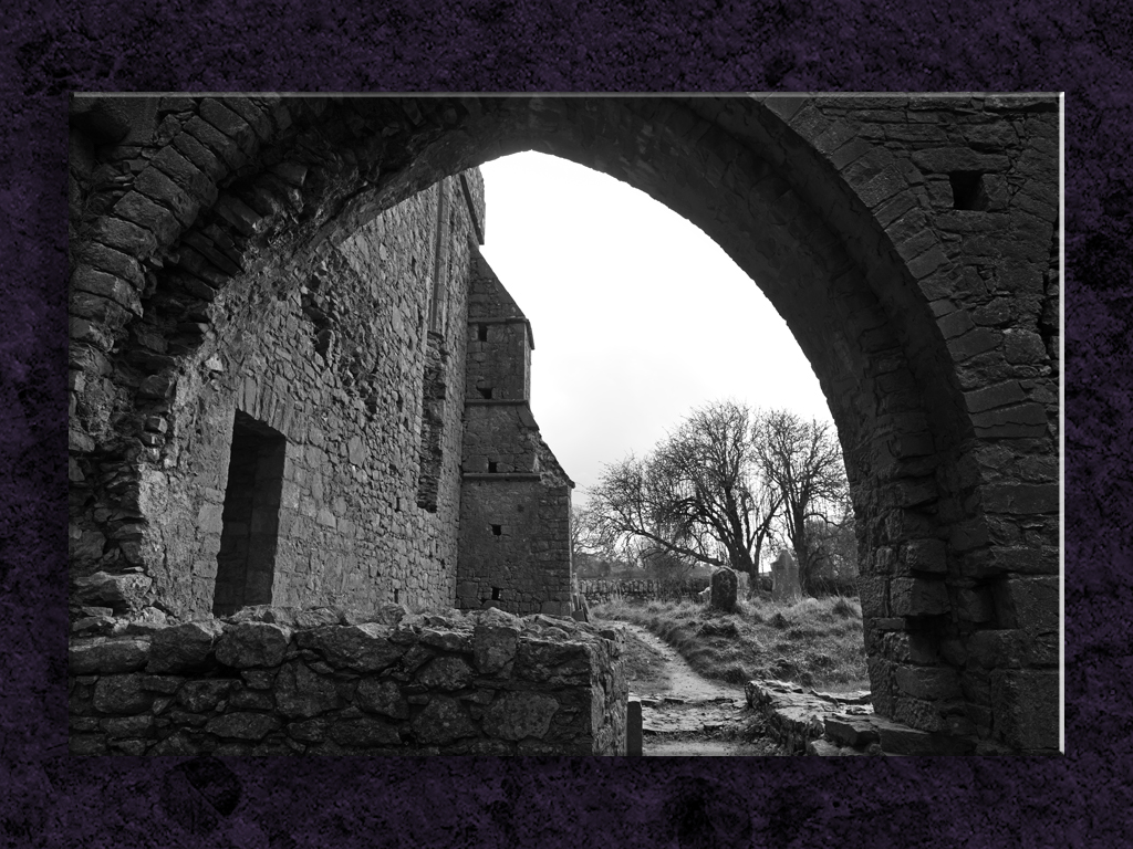 Wide View of  a Hore Abbey Arch...