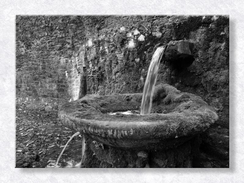 More Fountain in B&W...