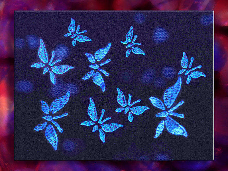 Butterflies in UV...